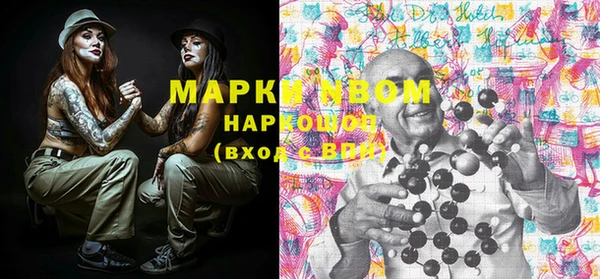 ПСИЛОЦИБИНОВЫЕ ГРИБЫ Верея