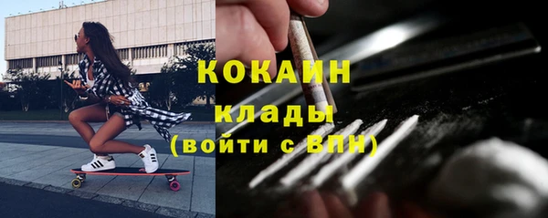 прущие грибы Верхний Тагил