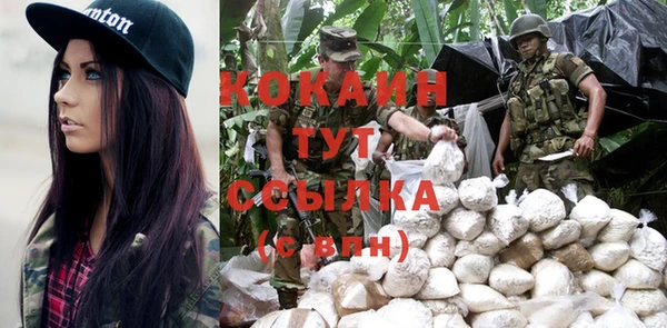 ПСИЛОЦИБИНОВЫЕ ГРИБЫ Верея