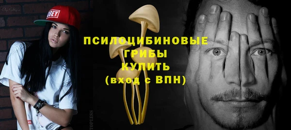 стаф Вяземский