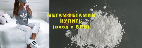 прущие грибы Верхний Тагил