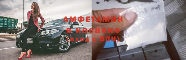 стаф Вяземский