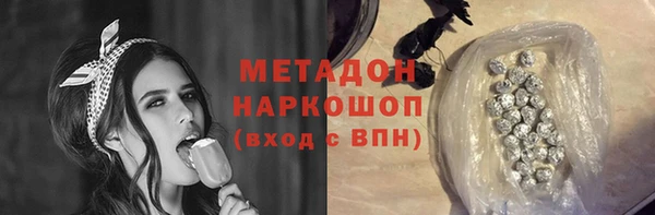 прущие грибы Верхний Тагил