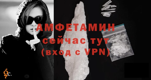 стаф Вяземский