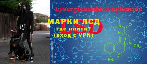 стаф Вяземский