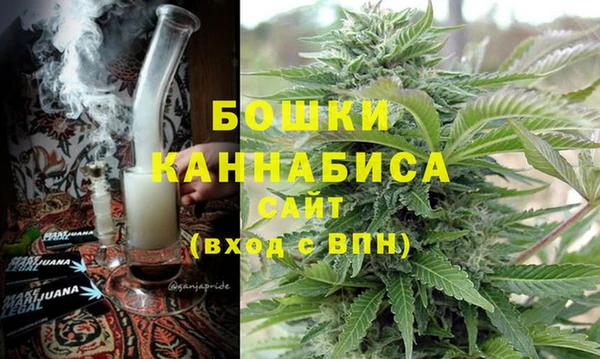 стаф Вяземский
