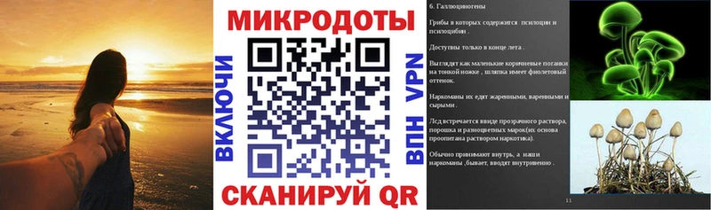 Галлюциногенные грибы мицелий  где можно купить   Черкесск 